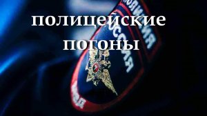 Полицейские погоны