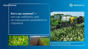 Кого мы кормим? — или как избежать трат на повышение урожайности сорняков
