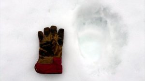 ПЕРВЫЙ КОСОЛАПЫЙ ПРОСНУЛСЯ