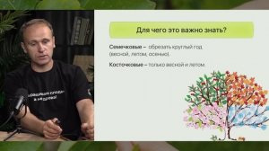 Как ОБРЕЗАТЬ Плодовые Деревья, Чтобы они ЛОМИЛИСЬ от ФРУКТОВ