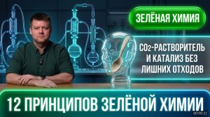 От микропластика в голове до биотоплива в земле. 12 принципов Зелёной аналитической химии.