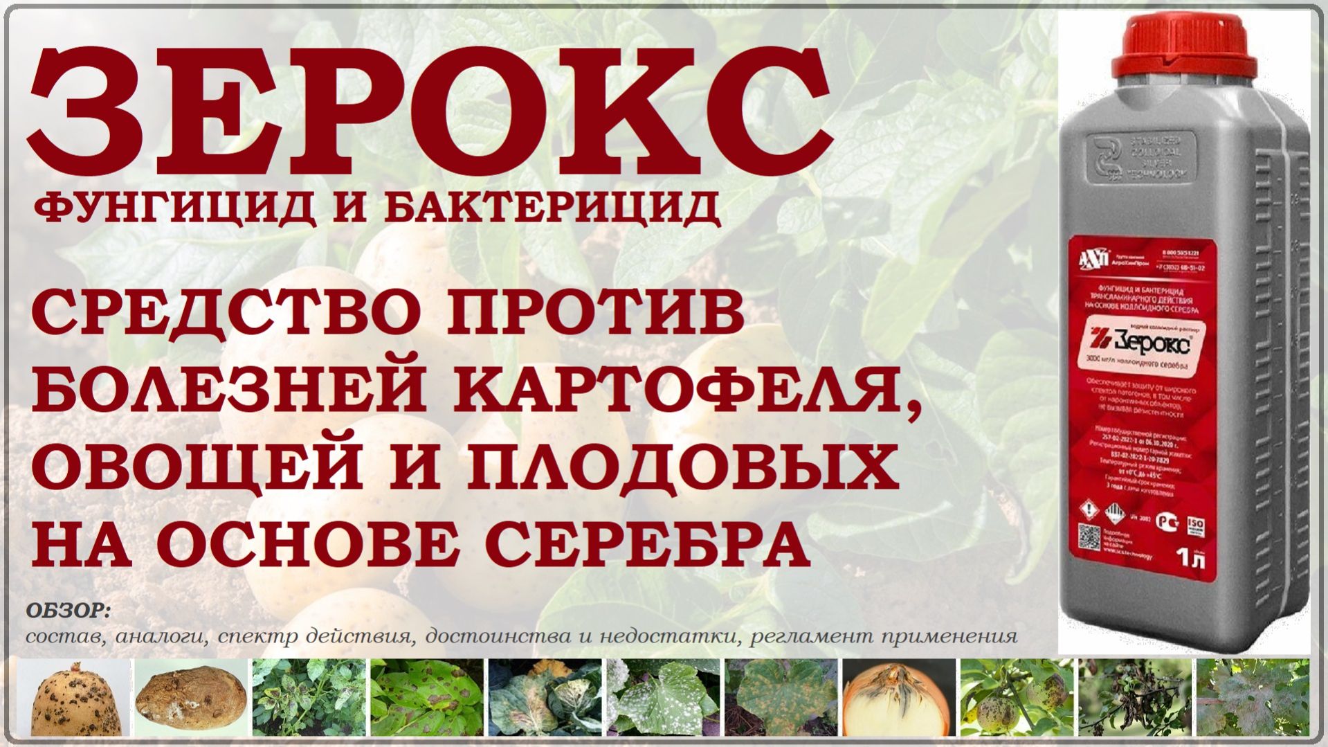 Зерокс – средство на основе серебра от болезней картофеля, капусты, лука и винограда. Обзор