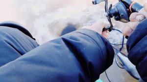 р. Свирь, весна, экстрим, мотособака, рыба всякая и окуня.