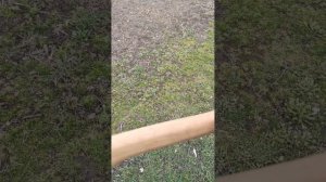 Замена топорища.