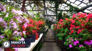 Россияне стали чаще покупать дорогие и сложные букеты к праздникам