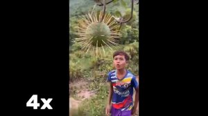 Indian Kid Ay oi oi ui ui Speed 999x