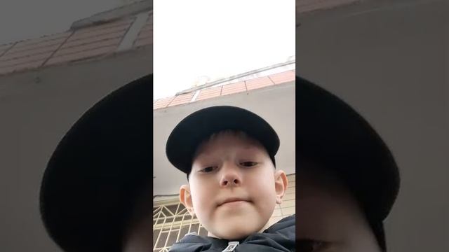 транслятсия смотреть онлайн