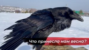 Проверка здоровья Гоши и пополнение мини-фермы!