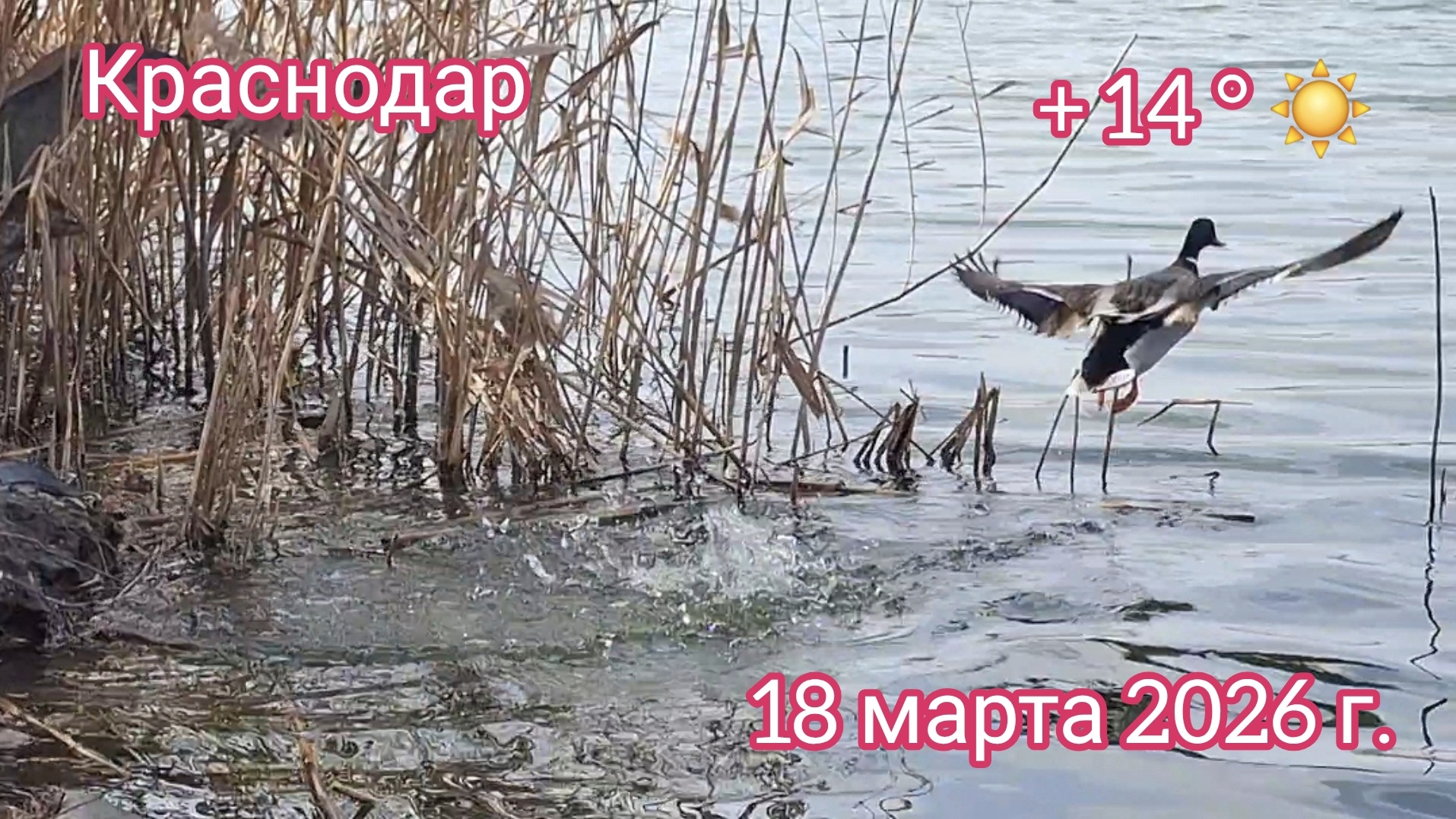 Краснодар - Прогулка по парку стадиона 