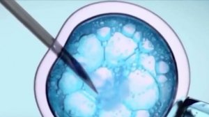 Земля ЛАБОРАТОРИЯ Гибридов и Чужих