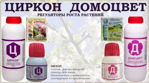 Циркон и Домоцвет – испытанные регуляторы роста растений. Обзор стимуляторов для различных культур