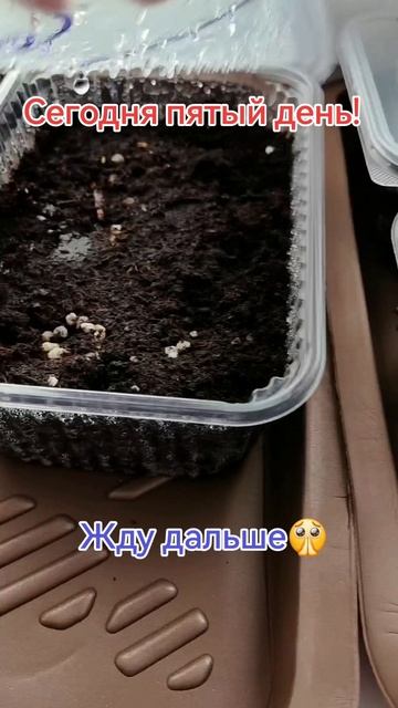 2026-03-19-150833688