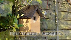 3.2 Читаемый текст в CapCut