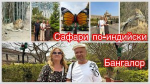 #22 Сафари за копейки по-индийски. Застрявшие в Индии 🫢 Национальный парк Бангалора. Индия 2026