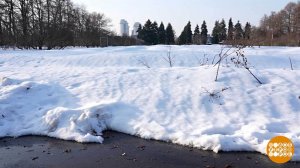 Снежная физика: в чем соль? Доброе утро. Фрагмент выпуска от 19.03.2026