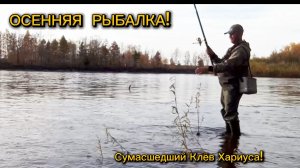 Убойная Осенняя Рыбалка на Хариуса!