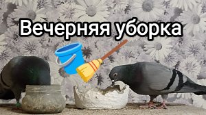 19-03-2026. Вечерняя уборка.