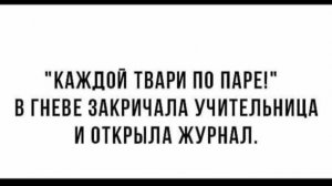 Модельный портфель от брокера: каждой твари по три