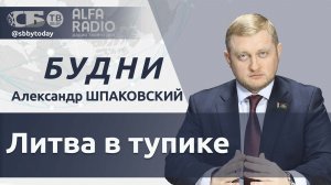 🔴Литовские автоперевозчики обратились к Лукашенко. Поляки штурмуют АЗС Словакии из-за высоких цен