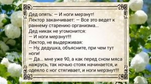 Девушка,_я_хочу_Вас_АНЕКДОТЫ_ДЛЯ_ВЗРОСЛЫХ_#анекдоты_#сборниканекдотов