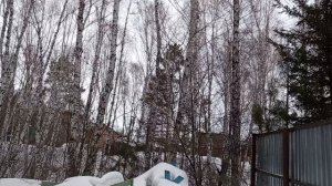 вкусно белкам