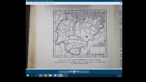 Птицы Якутии