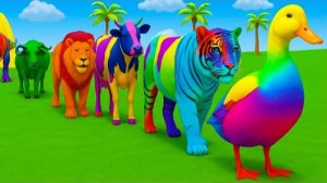 Long Slide Game with Colourful Duck Cow Tiger Gorilla Dog Elephant 3d Animal Game Funny 3d Animals