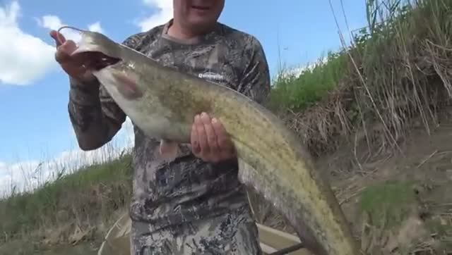 ЭТА НАЖИВКА И ЭТОТ МЕТОД МАНЯТ СОМА! Рыбалка в Астрахани 2025.