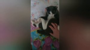 Мы живы и здоровы 🫶✌️