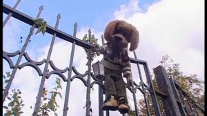 По всем правилам вместе с Хрюшей - Высота