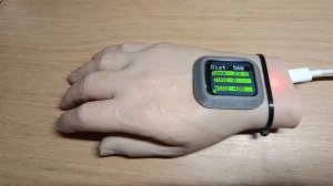 Видеопрезентация Плыкина А. М.