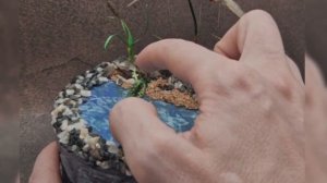 Механический минипруд с селезнем и лягушками 5 см и 1.5 см