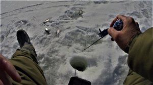 Зимняя рыбака в поисках бели. Безмотылка выручает.