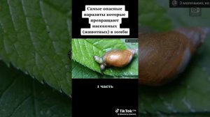 VID_20260319_205143_248.mp4