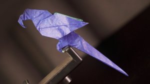 Оригами попугай из бумаги - обучение | Как сделать из бумаги попугая оригами