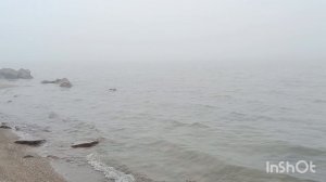 Ейск в тумане. Друзья и море. Наушник- микрофон. Запеканка из тыквы...