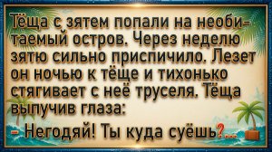 Теща с зятем на необитаемом острове. Лезет он ночью к тёще и тихонько стягивает с неё труселя...