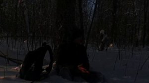 похищенный для леса ЧАСТЬ 21