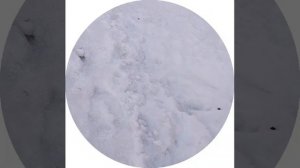 видио с моего канала в max кто ещё не со мной айда в max 3 часть.