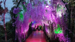 Высокогорный парк Феникс, Китай, Хайнань