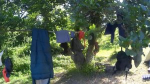 00000070    Ночёвка на реке Шахе (2024)