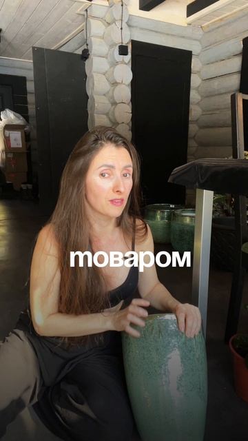 #комнатныерастения #озеленение #фитодизайн