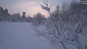 Первая зимняя рыбалка в Новом 2023 году! Зимняя рыбалка 2023.