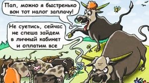 Мы медленно спустимся с горы: как набирают позу крупные спекулянты