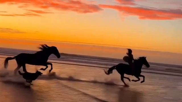 Песня «Жизнь коротка»