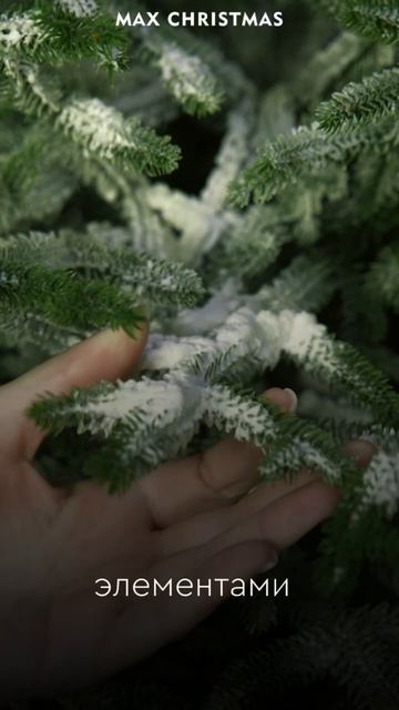 Заснеживание