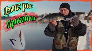 Джиг риг. Проводки. Окунь 660 грамм.