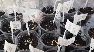 Волшебные слова для всего нового. Работает на 100% 18-03-2026