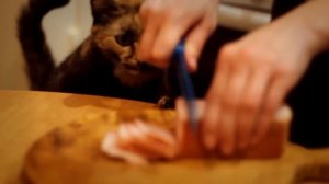 Flёur - Тёплые коты (cover. Саша Капустина)