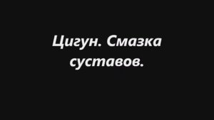 12. ЦИГУН. СМАЗКА СУСТАВОВ И ЭНЕРГЕТИЧЕСКАЯ ЗАРЯДКА. ЛИ ХОЛДЕН.